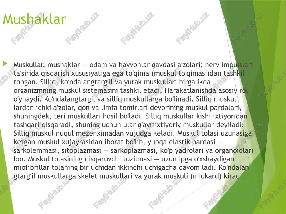 silliq mushaklar - Page 5