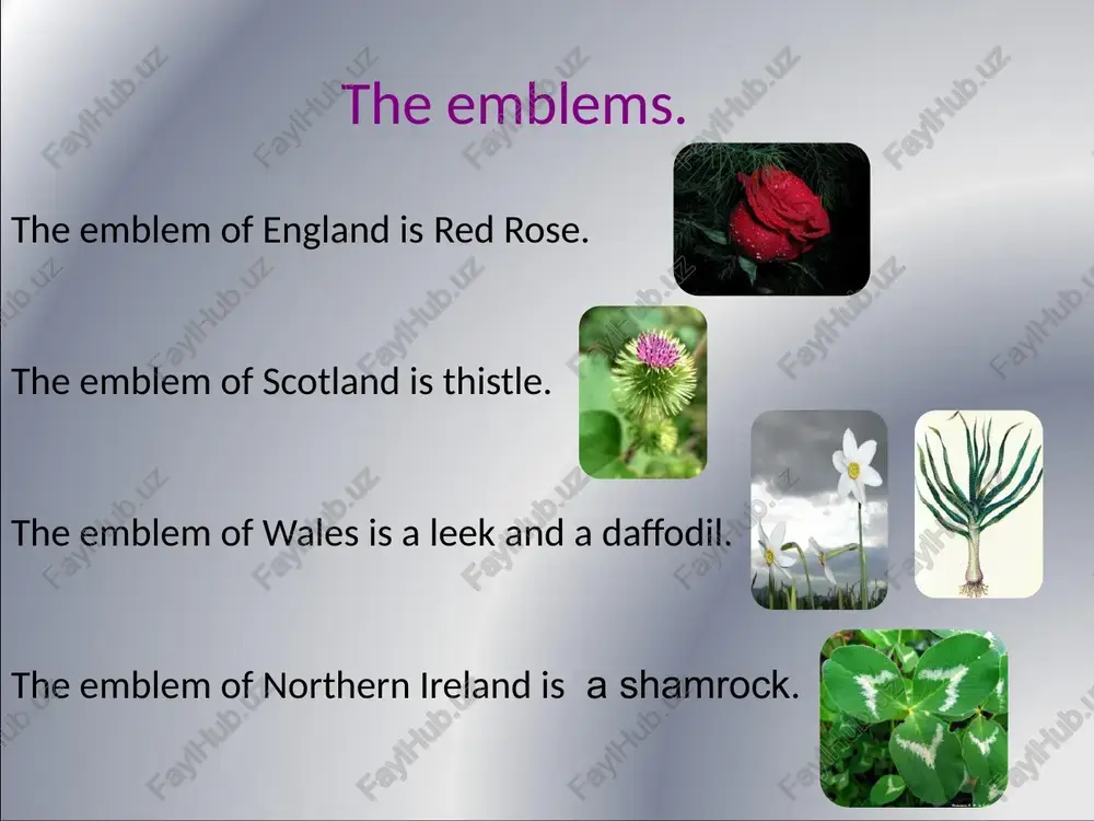english-speaking countries - Page 5