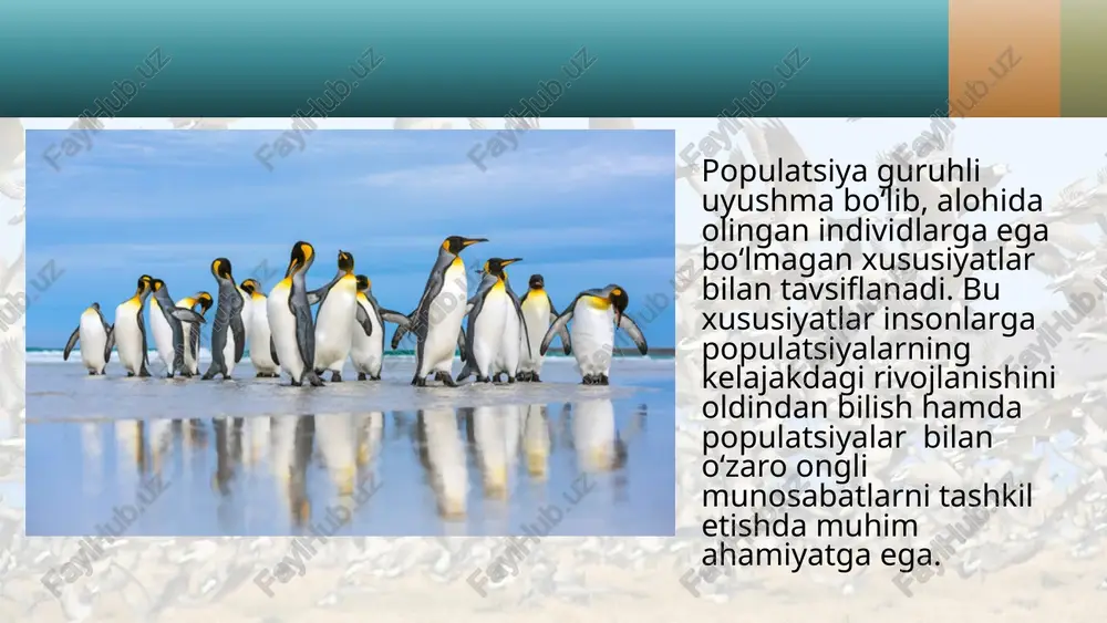 turning populationsktukturasi dars ishlanmasi - Page 5