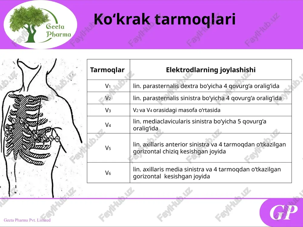 zg’alishi va qisqarishi bo’lmachalar ekstrasistoliyasining 4 ta ekg belgisi. navbatdan tashqari qisqarish bo’lib p tishchaning va uning ketidan qrs kompleksining kelishi. ekstrasistolik p tishchaning polyarligi o’zgarishi va uning deformatsiyasi. ekstrasistolik qrs kompleksining sinus ritmidagi qrs kompleksi bilan o‘xshashligi. bo’lmachalar ekstrasistoliyasidan keyin noto’liq kompensator pauza. bo’lmachalar ekstrasistoliyasi atrioventrikulyar birikma ekstrasistoliyasi ekg belgilar: sinus ritmidagidan shakli o’zgarmasdan va vaqtidan oldin paydo bo’lgan qrs kompleksining kelishi. p tishcha manfiy bo’lib qrs kompleksidan oldin yoki keyin kelishi, yoki p tishcha qrs kompleksi bilan qo’shilib kelishi tufayli ekgda aniqlanmasligi. noto’liq kompensator pauza. av-birikma ekstrasistoliyasi qorinchalar ekstrasistoliyasi 5 xil ekg o’zgarish kuzatiladi. navbatdan tashqari shakli o’zgargan qrs kompleksining paydo bo’lishi. 2. qrs kompleksning deformatsiyalanganligi va davomiyligining 0,12 sekunddan uzayganligi. 3. segment s – t va t tishcha ekstrasistolik kompleksning asosiy tishchasiga teskari (diskordant) yo‘nalgan bo‘lishi. 4. qorinchalar ekstrasistoliyasi oldida p tishchaning bo’lmasligi. 5. qorinchalar ekstrasistoliyasidan keyin to’liq kompensator pauza bo’lishi. qorinchalar ekstrasistoliyasi alloritmik ekstrasistoliya paroksizmal taxikardiyalar …