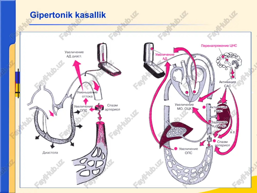 , bemor issik xonadan sovukka chikkanda, shamolli ob-xavoda (zurikish stenokardiyasi). stenokardiyaning ba’zi turlarida tinchlikda xam, tunda (nostabil stenokardiya). ogrik davomiyligi – ogrik bir necha soniyadan 30 minutgacha davom etishi mumkin. kasallikning boshlangich xolatlarida ogrik jismoniy zurikish tuxtatilganda, keyingi boskichlarda esa nitratlar (nitroglitserin) kabul kilingandan sung tuxtaydi. steanokardiya klassifikatsiya zurikish stenokardiyasi yoki stabil stenokardiya (ma’lum zurikishlarda paydo buladi) 4 ta funksional klasslarga bulinadi: i fk – ogrik sindromining katta jismoniy zurikishda paydo bulishi ii fk – ogrikning me’yordagi jismoniy zurikishda paydo bulishi (tekis joyda 500 metr masofa yurganda, zinadan bir kavat yukoriga kutarilganda v x.k.). iii fk – ogrik sindromining ozgina zurikishda paydo bulishi, jismoniy faollik cheklangan buladi (xonada yurish, tekis yulda 100-500 metr yurish,) iv fk – kichik jismoniy zurikishda ogrik sindromining paydo bulishi (100 metrdan kam yurish va tinch xolatda) stenokardiya nostabil stenokardiya (kupincha infarktdan oldingi xolat deb baxo beriladi va shoshilinch terapiyaga muxtoj) xam bulinadi: a) ilk bora …
