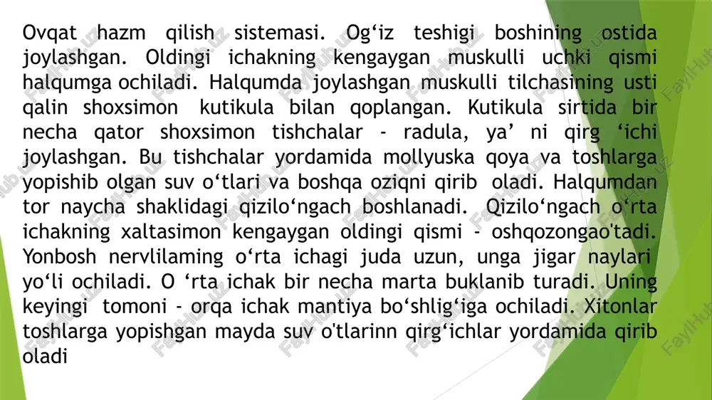 qalqondorlar yaʼni xitonlar (loricata, polyplacophora) sinfi - Page 5