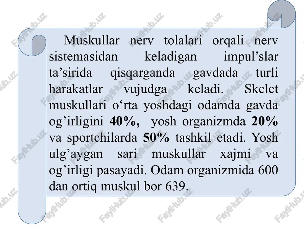 muskullar haqida umumiy ma’lumotlar - Page 5