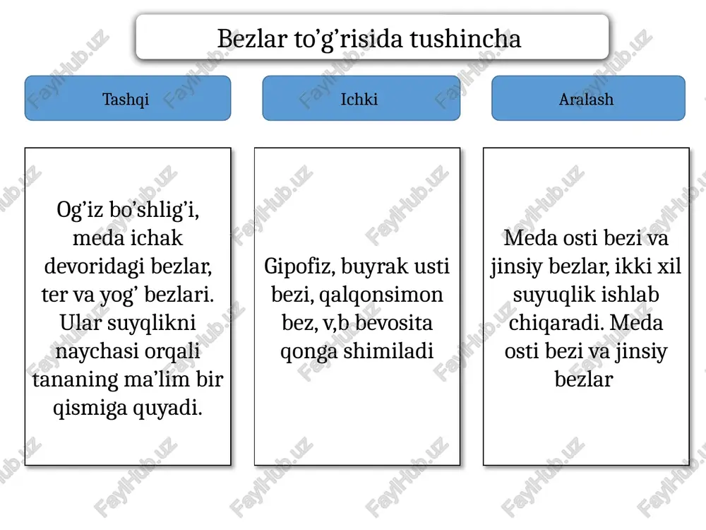 diafragmaga o’tish joyida meda-hazm kanalining eng kangaygan qismi qorin bo’sh’lig’ini yuqori qismida joylashgan. koproq qismi cha qovurg’a ostida joylashadi. noksimon. medaning oldingi va orqa devorlari b/b yuqorida kichk pasda katta egriliklar joylashgan. kirsh-cardiya 11 ko’krak qarshisda turadi. chiqsh qismi 1-bel umrtqasi roparasida 12 barmoqqa qo’shilib ketadi. chiqsh qismi o’zi 2 ga ajralgan, 1-boshlanishi g’orcha deyilsa davomi kanal bo’lagi deyiladi. yuqorida-jigar, chap bo’lagida diafragma gumbazi, pastki kondalang chambar ichak. oldingi devori qorin devoriga. orqa devori meda osti bezi, chap buyrakka qisman taloqqa tegib turadi. meda devori seroz parda, seroz osti qavati, muskul qavat, shillq shillq qavat, shilliq osti qavatdan tuzulgan. muskul qavat 3 yo’nalishda. 1-tashqi uzn, 2-o’rta halqasimon, 3-ichki qiyshq joylashgan. halqasimon chiqvchi qismida qisuvchi (sfinkter) muskulga aylanadi tubi va tanasi joylashgan bezlar xlorid kislata suyuqligini, qolgan bezlar pepsin shlliq suyqlik ishlab chiqaradi. medada ovqat 4-soatdan 10 soatgacha saqlanadi. bu davrda muskullar yordamida mexanik parchalandi. 2 xil qisqarish (tonik perstatik) uzoq …