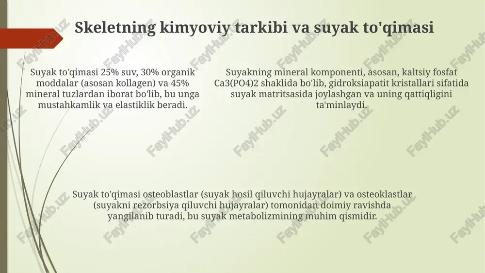 shi mumkin. bloklangan umurtqalar, ikki yoki undan ortiq umurtqalarning qo'shilib ketishi natijasida hosil bo'ladi. bu holat klippel-feyl sindromi bilan bog'liq bo'lishi mumkin, bunda bo'yin harakatining cheklanishi va boshqa anomaliyalar kuzatiladi. skeletning umumiy tuzilishidagi individual farqlar skelet uzunligining individual farqlari irsiy omillar va ozuqa ta'sirida shakllanadi, masalan, ba'zi odamlarda qo'l suyaklari 2-3 sm gacha uzunroq bo'lishi mumkin. umurtqa pog'onasida umurtqalarning soni 32-34 ta bo'lishi mumkin. ayrimlarda ko'krak umurtqalari 12 ta bo'lsa, boshqalarda 13 ta bo'lishi kuzatiladi, bu individual xususiyatdir. qovurg'alarning soni har bir tomonda 12 ta bo'lishi kerak, lekin ba'zi hollarda 11 ta yoki 13 ta qovurg'a bo'lishi mumkin. bu anomal hollatlar rentgen tekshiruvida aniqlanadi. xulosa: osteologiyaning tibbiyotdagi ahamiyati osteologiya suyak kasalliklarini, masalan, osteoporozni 70% gacha aniqlash va davolashga yordam beradi, bu suyak sinish xavfini kamaytirish uchun juda muhim. osteologiya tibbiyotda sud-tibbiy ekspertizadan tortib, 85% aniqlikda insonning jinsini va yoshini suyaklar orqali aniqlashda katta ahamiyatga ega. osteologiya tibbiyotda sud-tibbiy ekspertizadan tortib, …
