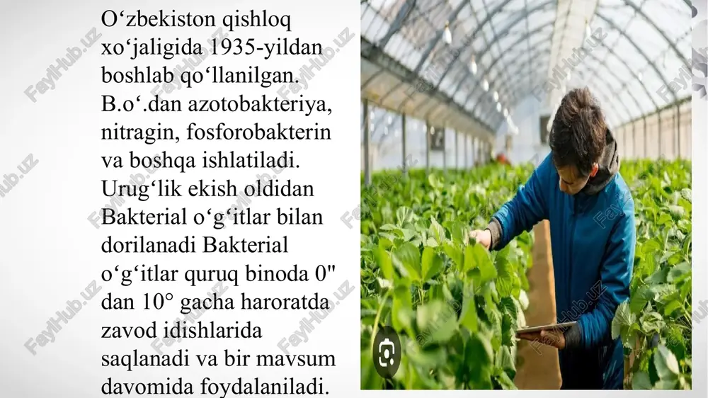 bakterial o’g’itlash.fosfobakterin, azotobekterin, nitrobakterin - Page 5