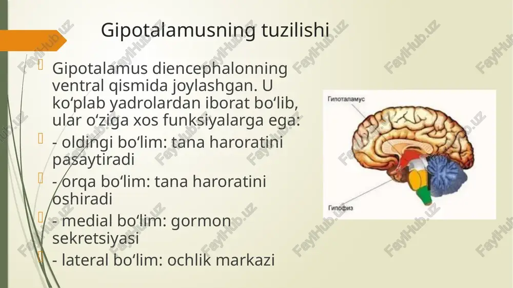 gipotalamusyadrolar va ularning klinikahamiyati - Page 5
