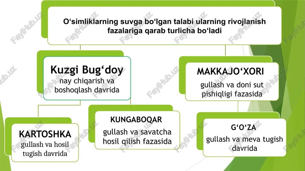 ashadi sizot suvi yuza joylashgan o’tloq tuproqlarda o’sgan g’o’zaning ildiz tizimi tuproqning suv rejimini yaxshilash sug‘oriladigan dehqonchilikda tuproqning suv rejimini yaxshilash muhim tadbirlardan hisoblanadi. tuproqda maksimal darajada nam to‘plash va uning foydasiz sarflanishini, qo‘yi qatlamlarga sizib ketishini, yog‘in suvlarning pastlikka, shuningdek, jarlarga oqib ketishini va boshqalarni iloji boricha kamaytirish zarur. bevosita tuproq suv rejimini boshqarishda qo‘llaniladigan tadbirlardan eng muhimi tuproqni sifatli ishlashdir. yer sifatli ishlaganda tuproq tuzilishi yaxshilanadi, uning g‘ovak, kesakli strukturasi saqlanadi va begona o‘tlar yo’qoladi. namlikning bexuda sarf bo‘lishi kamayadi. tuproqning suv rejimini boshqarishda- sug‘orishni to‘g‘ri tashkil etish va sug‘organdan so‘ng tuproq etilishi bilan sifatli ishlov berish muhim ahamiyatga ega. almashlab ekish, ekinlarni to‘g‘ri navbatlab ekish, yerga organik o‘g‘itlar solish, yerni ekishga sifatli tayyorlash va urug‘ni o‘z vaqtida yuqori agrotexnika qoidalari asosida ekish, o‘simliklarni o‘z vaqtida parvarish qilish, tuproqning suv rejimiga foydali tasir etuvchi eng muhim omillardan hisoblanadi. o‘simliklar hayotida atmosfera hamda tuproq havosining ahamiyati va uning kimyoviy …