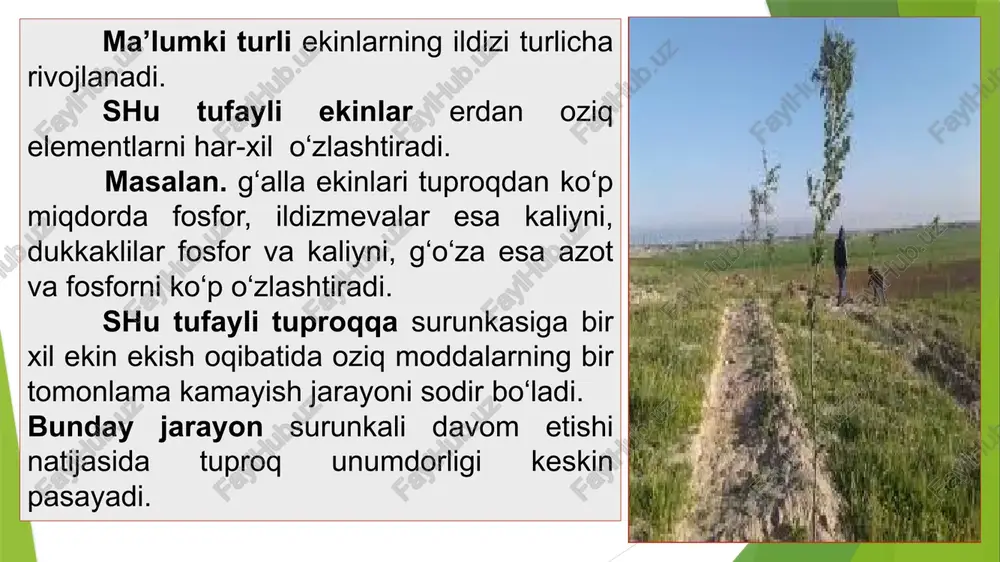 (soya) +oraliq ekin (suli+ko’k no’hat+javdar) g’o’za 6 kuz bug’+tak ekin (soya) kuz bug’+tak ekin (soya) +oraliq ekin (suli+ko’k no’hat+javdar) g’o’za 2. tajriba tizimi (2005-2009 yillar) sakkiz dalali almashlab ekish rotasiyon jadvali yillar dalalar i ii iii iv v vi vii viii 2012 b1 b2 g’1 g’2 g’3 g’4 g’5 g’6 2013 b2 g’1 g’2 g’3 g’4 g’5 g’6 b1 2014 g’1 g’2 g’3 g’4 g’5 g’6 b1 b2 2015 g’2 g’3 g’4 g’5 g’6 b1 b2 g’1 2016 g’3 g’4 g’5 g’6 b1 b2 g’1 g’2 2017 g’4 g’5 g’6 b1 b2 g’1 g’2 g’3 2018 g’5 g’6 b1 b2 g1 g2 g3 g4 2019 g’6 b1 b2 g’1 g’2 g’3 g’4 g’5 bu yerda b1 - beda birinchi yilgi f3 - g’o’za bedadan keyin uchinchi yili almashlab ekish tizimi masalan 3:7 (3 dala beda, 7 dala paxta) almashlab ekishda ekinlar xar yili yoki bir necha yilda almashinishi mumkin. masalan …