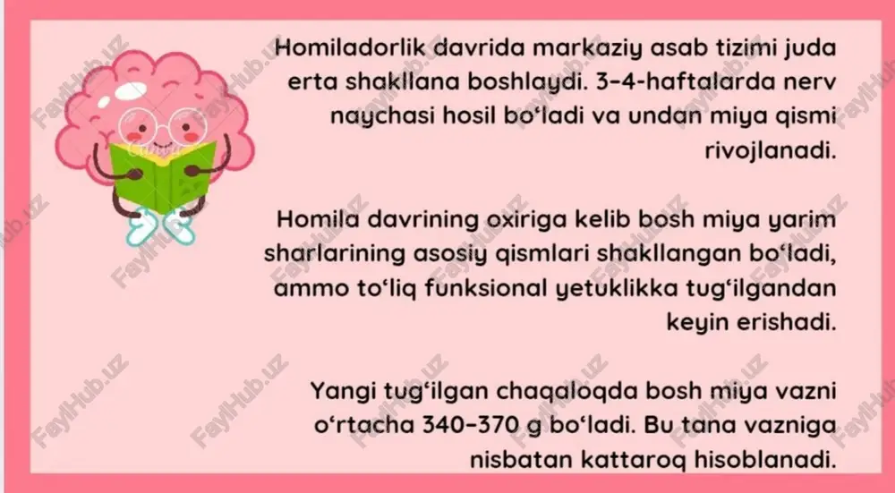 bosh miyyaning rivojlanishi . - Page 5