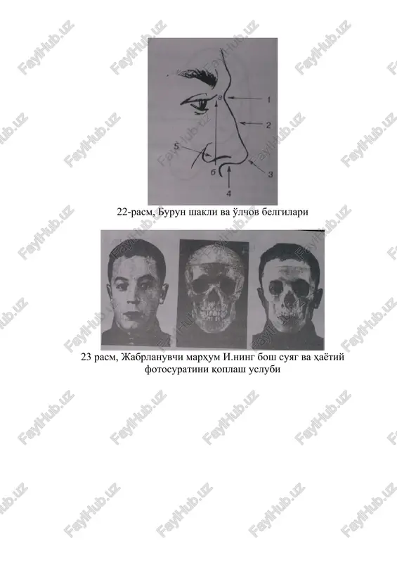 idan boshlanadi: - jinsi, yoshi, antropologik turdoshligi (tashqi ko'rinishi bo'yicha, osiyolik, evropalik va hk.); - umumiy gavda tuzilishi, boshi, yuzi, bo'yin, elka, ko'krak qafasi, qo'l va oyoqlar (bular umum o'lchov va shakllari bo'yicha o'rganiladi); - soch, qosh, mo'ylov-soqol o'simlari (soch tolalarining shakli - tuzilishi-tekis, jingalak, rangi bo'yicha - qora, malla); - teri qoplamasining rangi (pigmentatsiya alomatlari, ko'zlarining shakli, katta-kichikligi va rangi). umumiy gavda tuzilishi insonning to'la, qotma yoki oz¦in bo'lishi, bo'yi baland, o'rta, past, boshning katta, o'rta va kichik o'lchovda bo'lishi, shakl bo'yicha geometrik dumaloq, uchburchak, oval kabi atamalar bilan tavsiflanadi. odamning tashqi tuzilishi belgilarining asosiy o'lchov shakllari uning yuzi - beti qismida aks etadi: yuzning tavsifi to'¦ridan va yonbosh (o'ng va chap) va qiya (nim yonbosh) tomonidan kuzatiladi; dumaloq, uchburchak, oval shaklida, peshona, qosh, ko'z, burun, o¦iz, engak qismlari ham katta-o'rta-kichik shakllari bo'yicha joylashadi va o'zaro proportsiyalari belgilanadi. tishlarning yirik, mayda, joylashuvi bo'yicha, tekis-to'¦ri va qiyshiq-so'yloq bo'lishi insonning nutqi, …