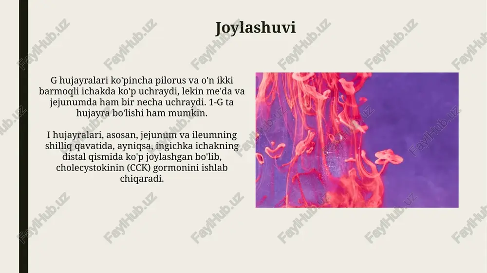 me'da ichak nayining endokrin hujayralari - Page 5