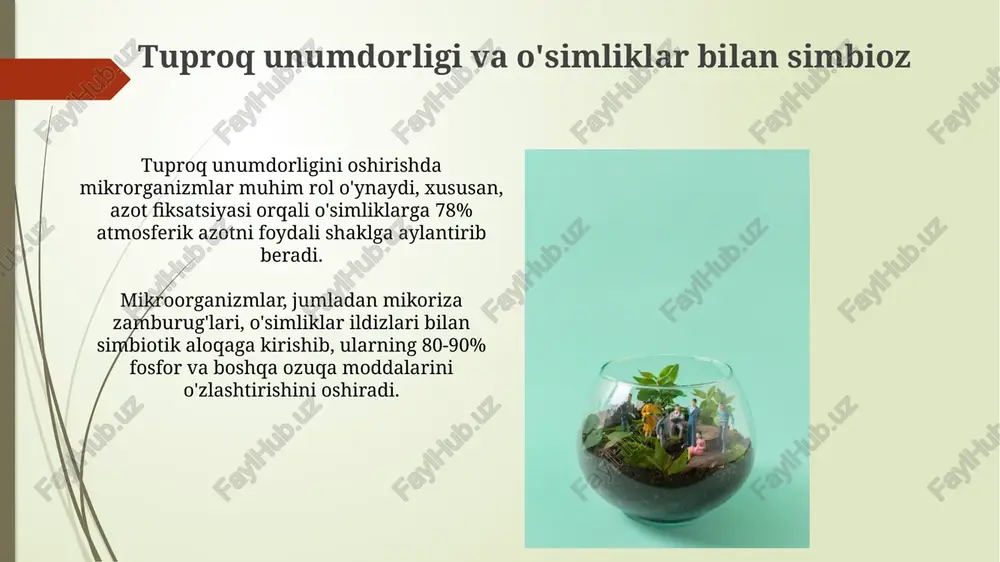 mikroorganizmlarning ekologik muvozanati - Page 5