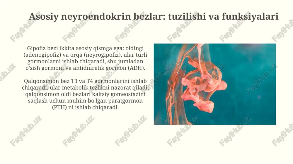 neyroendokrin tizimning struktur funksional tasnifi - Page 5