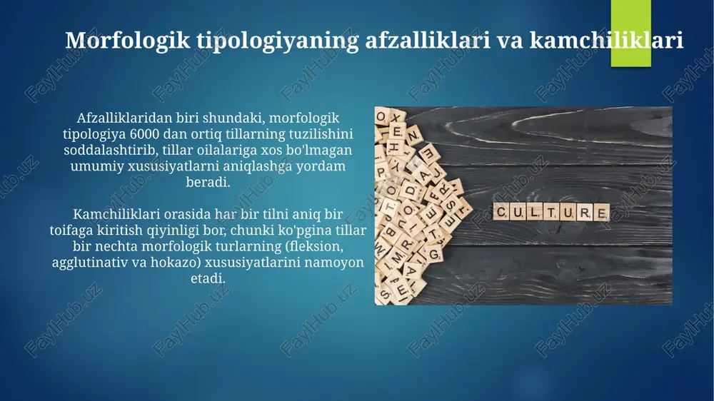 tillarning morfologik tasnifi - Page 5
