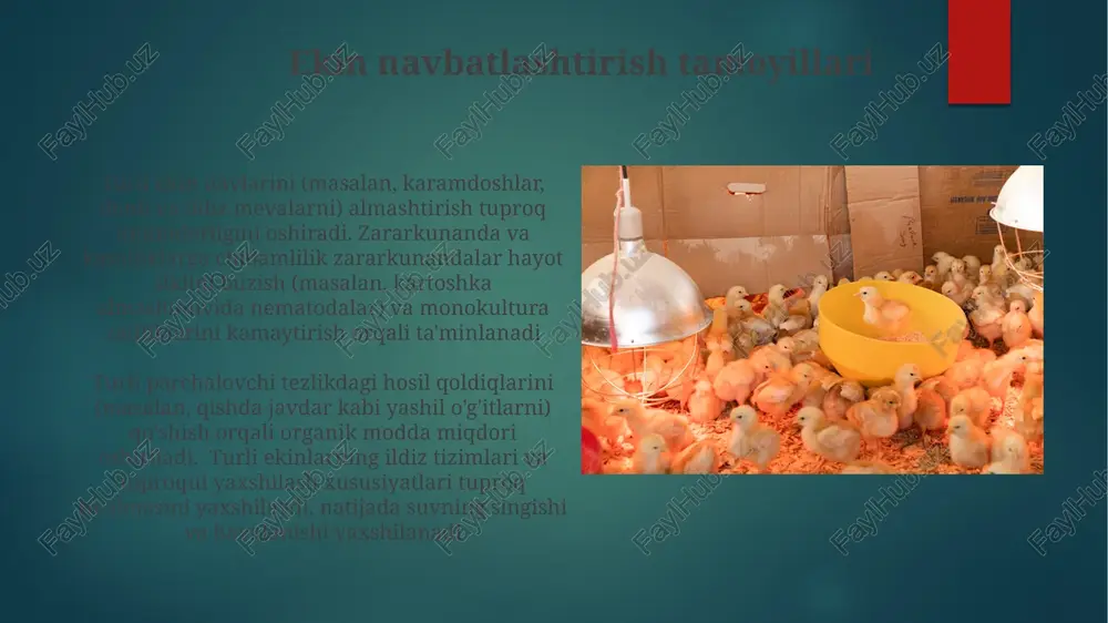 ekin navbatlashtirish printsiplari - Page 5