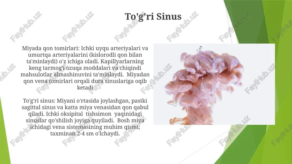 kranial venoz sinuslar, bosh miyya qon tomirlari - Page 5