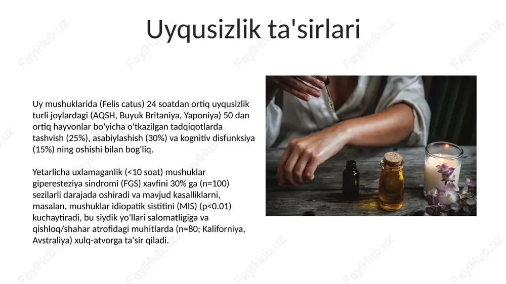 uy mushuklarida uyqu arxitekturasi - Page 5
