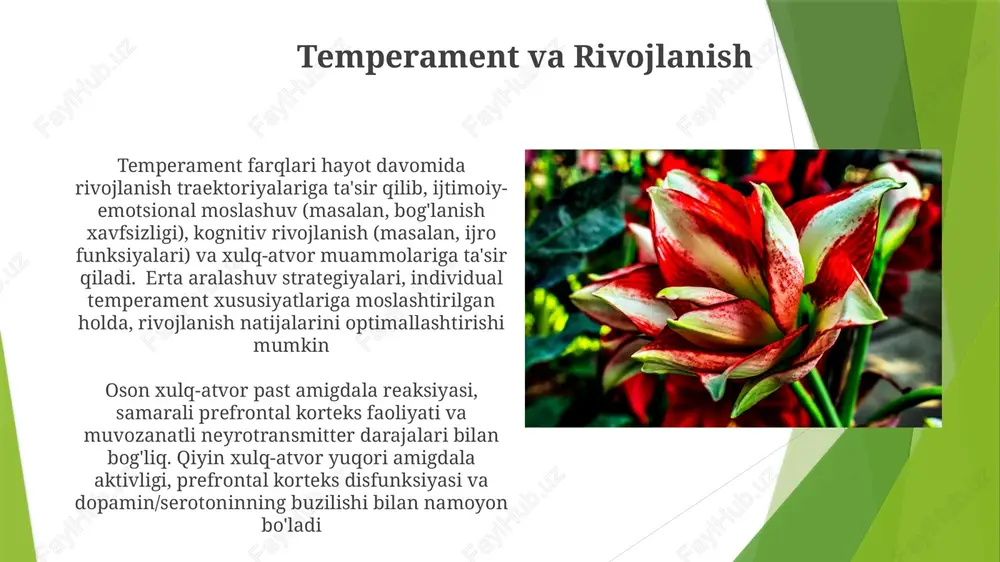 temperament tiplari va uning nerv-fizalogik asoslari - Page 5