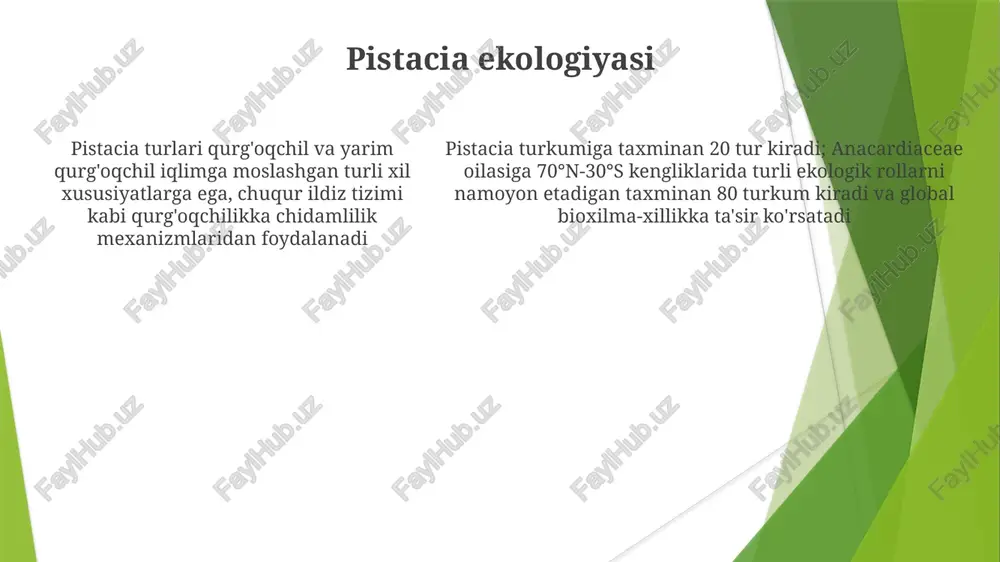 im qurg'oqchil hududlarida tarqalgan. ekologik omillar (quriqchilikka chidamlilik, haroratning keskin o'zgarishi) turlarning tarqalishini sezilarli darajada ta'sir qiladi. iqtisodiy ahamiyati yong'oq yetishtirish, qatron yig'ish (mastika) va yog'ochdan iborat anacardiaceae oilagining dori-darmon qo'llanilishi keng, mintaqalarga ko'ra farq qiladi. anacardium occidentale (kashu, tropiklar) urug'i va po'stlog'i yog'i shifobaxsh xususiyatlarga ega (masalan, antioksidant, saratonga qarshi). rhus turlari (shimoliy amerika, osiyo) teri kasalliklariga davo beradi, ammo ba'zilari kontakt dermatitga sabab bo'ladi pistacia holatining saqlanishi pistacia turlarining yashash holati har xil: ba'zilari iucn qizil ro'yxatida kam xavfli (masalan, p. vera turkiya, eron va suriyaning ayrim hududlarida), yaqinlashgan xavfli (p. atlantica) yoki zaif (p. eurycarpa) deb baholanadi pistacia va anacardiaceae oilasiga mansub o'simliklar turli xil dorivor xususiyatlarga ega (masalan, pistacia lentiscus qatronining yallig'lanishga qarshi ta'siri, anacardium occidentale (kashu) ning antioksidant xususiyatlari). fitokimyoviy tahlillar ko'plab bioaktiv birikmalarni (terpenoidlar, fenolik birikmalar) aniqladi e'tiboringiz uchun rahmat @taqdimot_robot