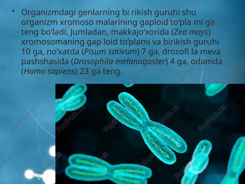 umumiy genetika asoslari - Page 5