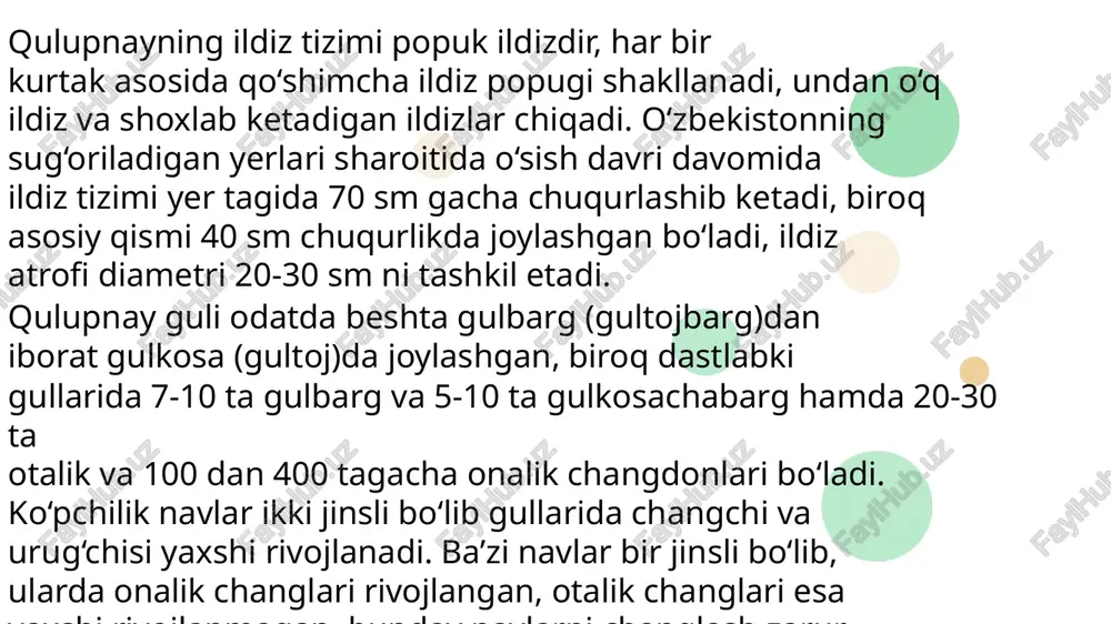 ekilgan maydonlar uzun burun, tilla qo‘ng‘iz, qulupnay kanasi, bargxo‘r, shilliqqurt kabi hasharotlardan ham ozmuncha zarar ko‘rmaydi. so‘nggi vaqtlarda ayrim o‘simliklarning vertitsillez so‘lishdan nobud bo‘layotgani ham kuzatilmoqda. oq dogʻlanish barglarni, barg bandilarini, guldonlarni, meva bandlarini, mevaning o‘zini hamda qulupnay mo‘ylovlarini zararlaydi. kasallik dumaloq, cho‘zinchoq yoki noaniq shakldagi to‘q-qizil dog‘ sifatida paydo bo‘ladi, so‘ng uning markazi oqaradi, kuchli zararlanganda dog‘lar bir-biriga qo‘shilib ketadi va barg nobud bo‘ladi. yil bo‘yi dog‘larning yuzasida kasallikni tarqatuvchi manba bo‘lib xizmat qiladigan konidiy-sporalar yuzaga keladi. kasallik hosil yig‘ish payti — may oyida, ayniqsa, kuchliroq namoyon bo‘ladi.kasallik yangi maydonlarga asosan shamol yordamida yoki ko‘- chat orqali tarqaladi. yogingarchilikning ko‘p, havoning haddan tashqari nam bo‘lishi kasallikning tarqalishiga qulay sharoit yaratadi. kulrang chirish. kasallik, asosan, qulupnayning pishish ara- fasida tez-tez sug‘orish va mevasining yerga tegib qolishi tufay- li rivojlanadi. zararlangan mevalar chiriydi va zich kulrang g‘ubor bilan qoplanadi. barglarida tarqoq, yirik, qoramtir, chirigan, bir qoplama- li dog‘lar hosil bo‘ladi. qulupnay …
