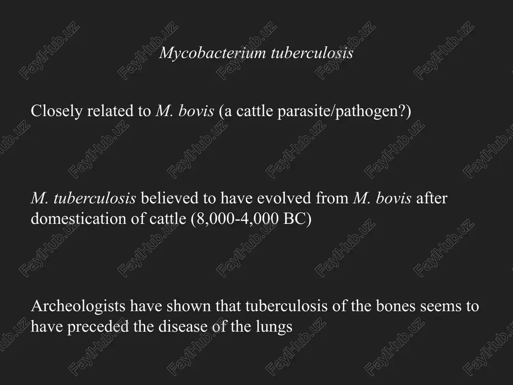 mycobacterium species - Page 5