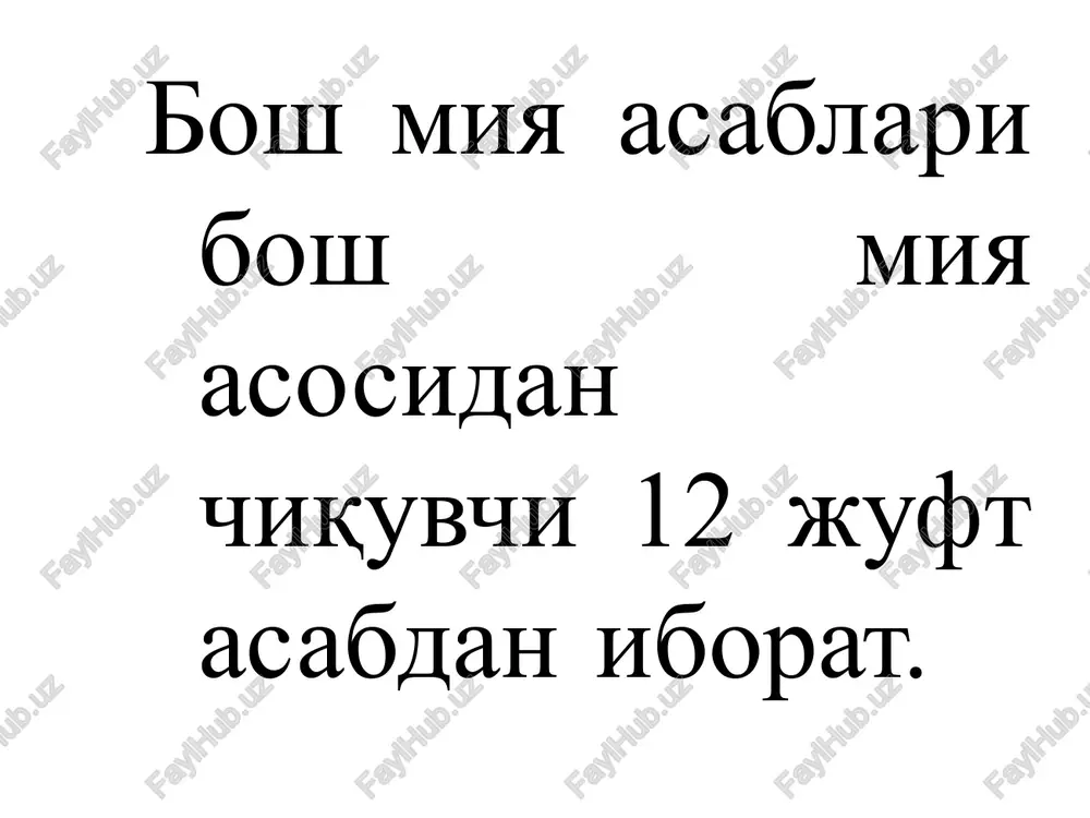 inson asabtizimi, uning normal faoliyati - Page 5