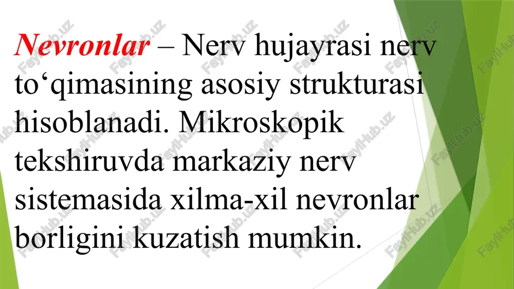 nevrologiya va nervopatologiya - Page 5