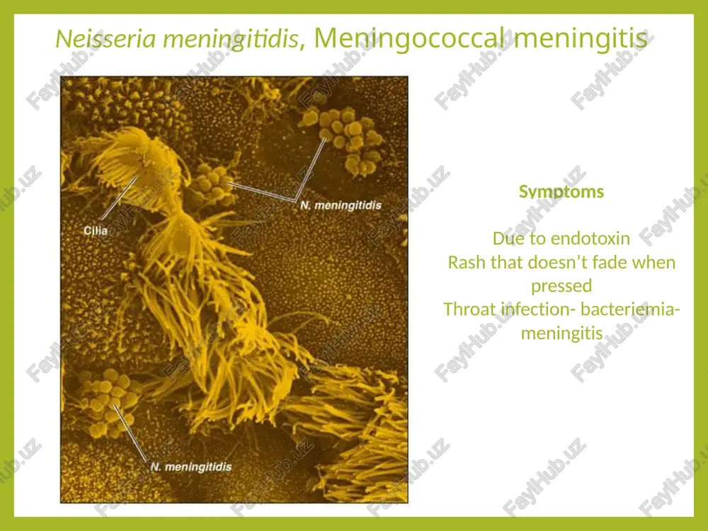 nervous and mental system disease - Page 5