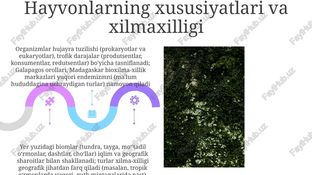 mikoriza zamburug'lari (masalan, glomus spp.) - Page 5