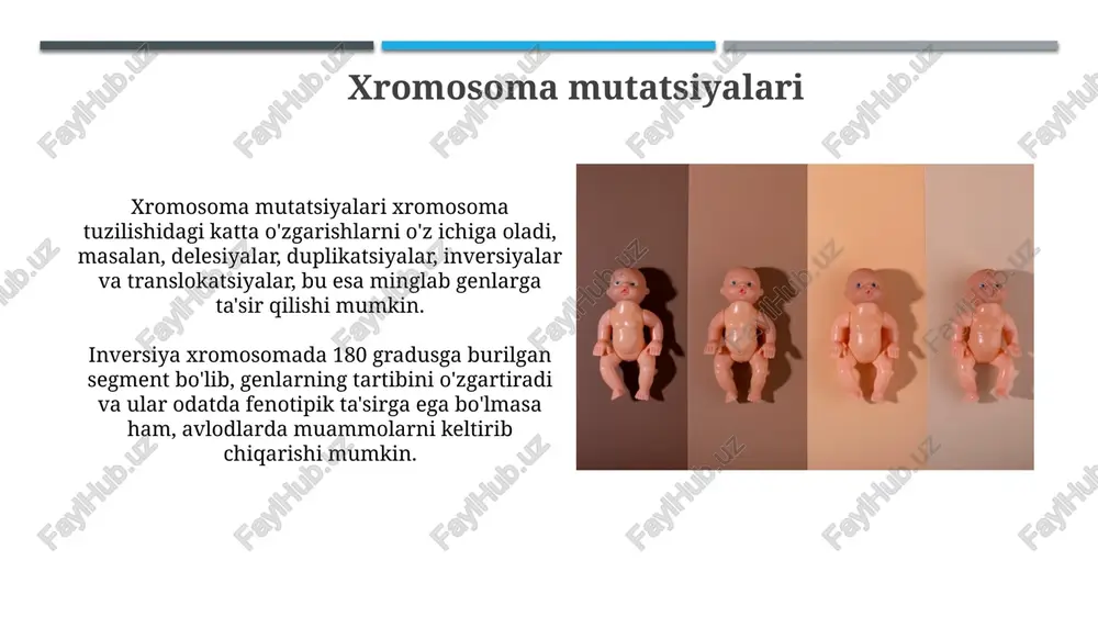mutatsiyavauningxillari - Page 5