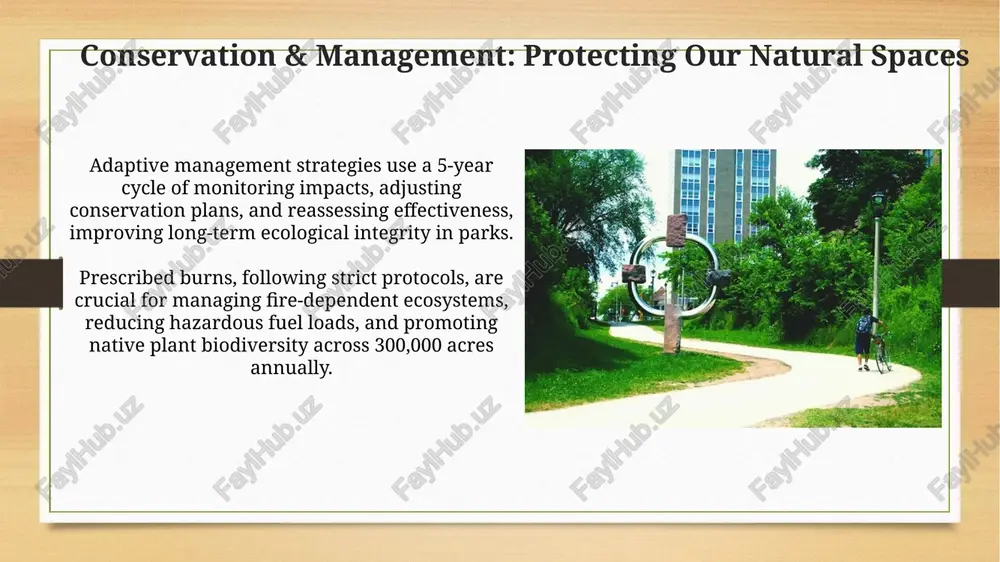 parks and outdoor environments - Page 5