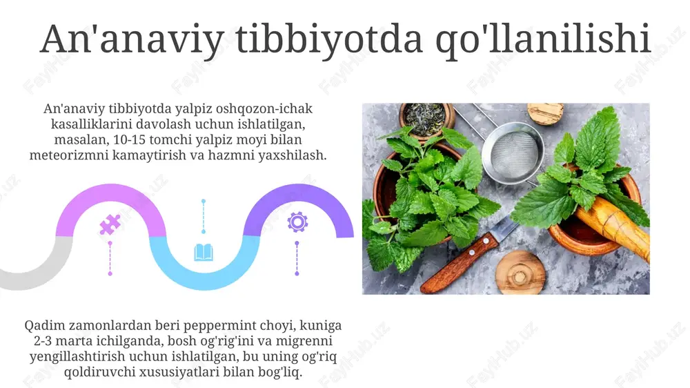 yalpiz (mentha) lamiaceae - Page 5