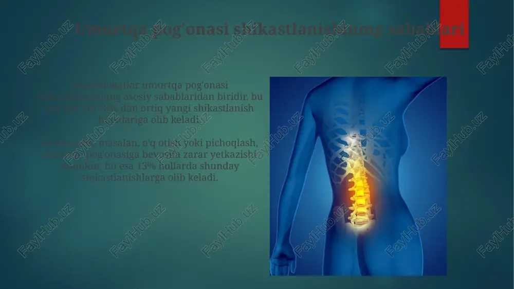 umurtqa pog'onasi shikastlanishi - Page 5