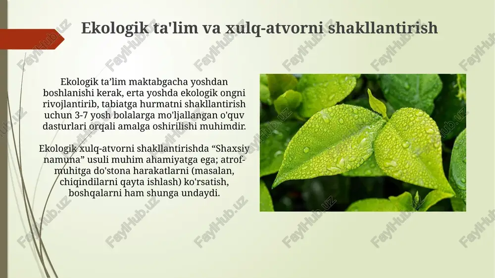 ekologik madaniyat - Page 5