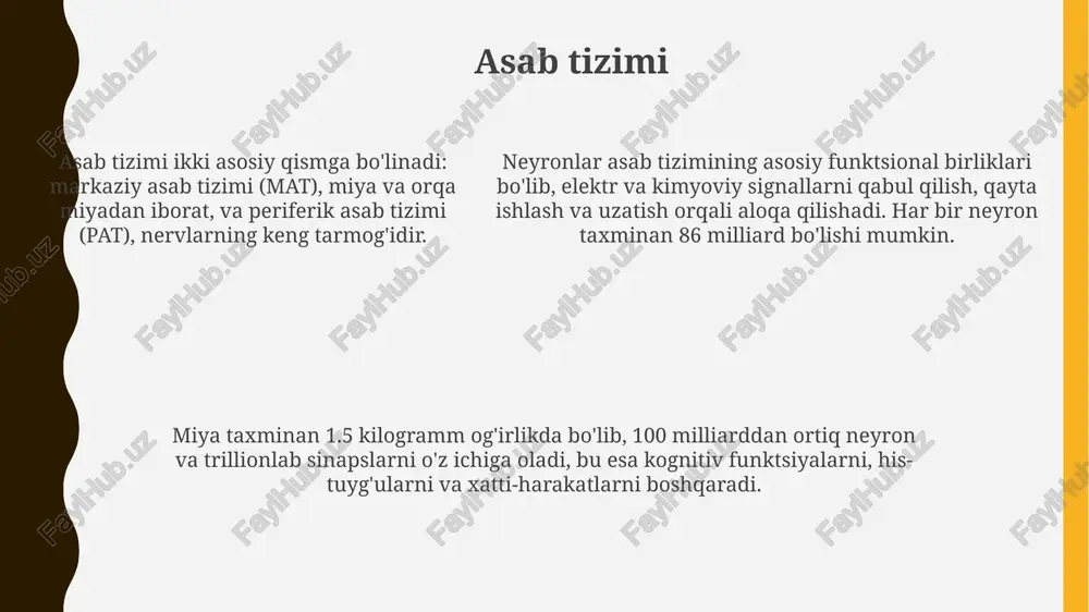 suyak tizimi - Page 5