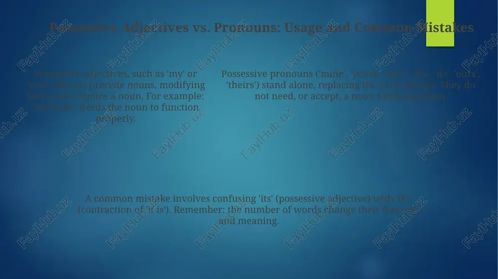 possessive adjectives and pronouns - Page 5