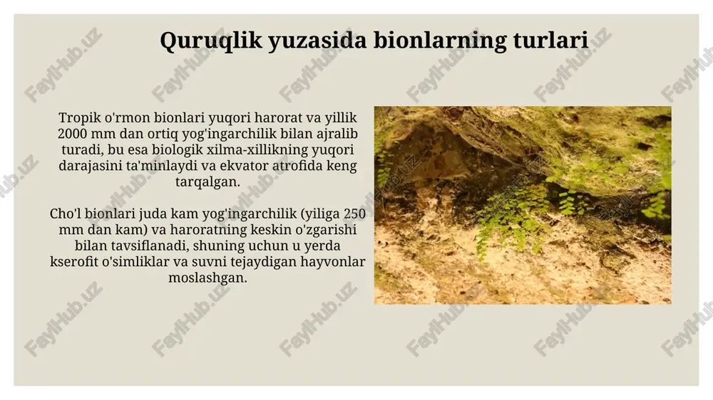 quruqlik yuzasida bionlar - Page 5