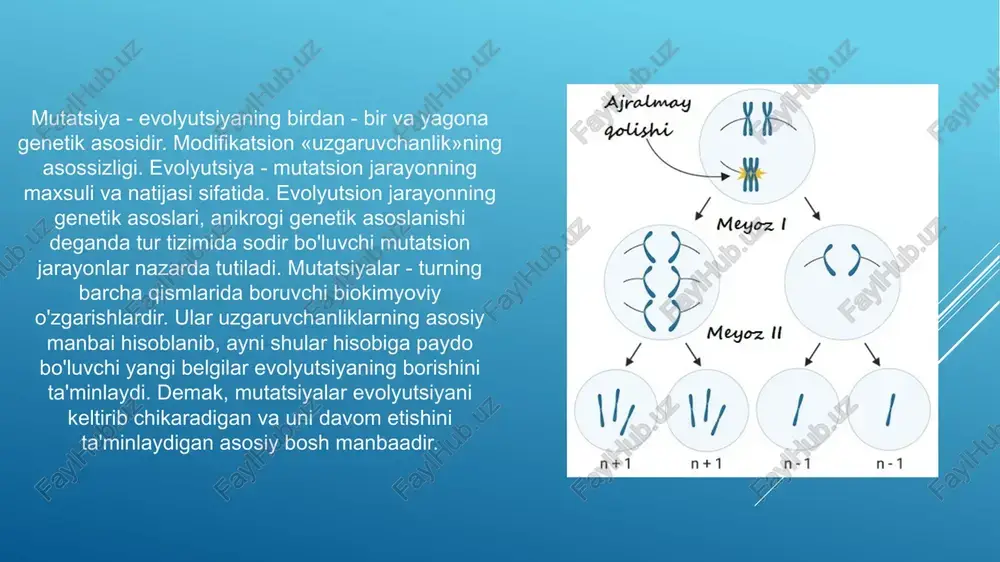 evolyutsiyaning genetik asoslari - Page 5