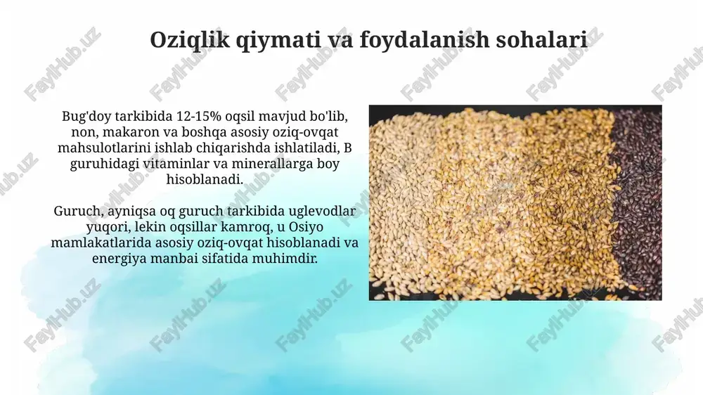 asosiy don ekinlarining turlari - Page 5