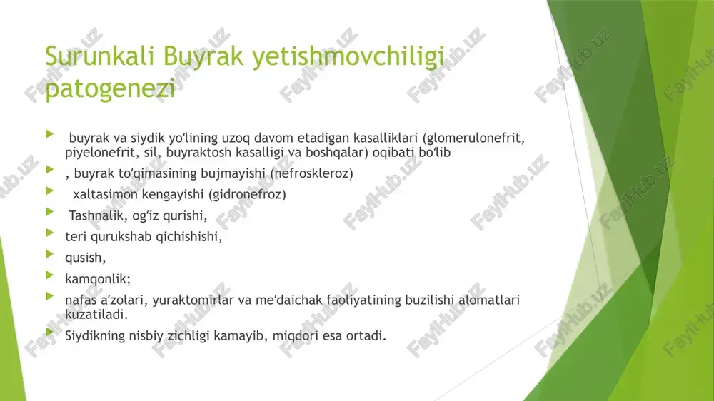 buyrak yetishmovchiligi - Page 5