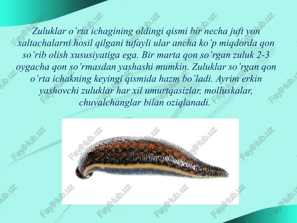 zuluklar sinfi - Page 5