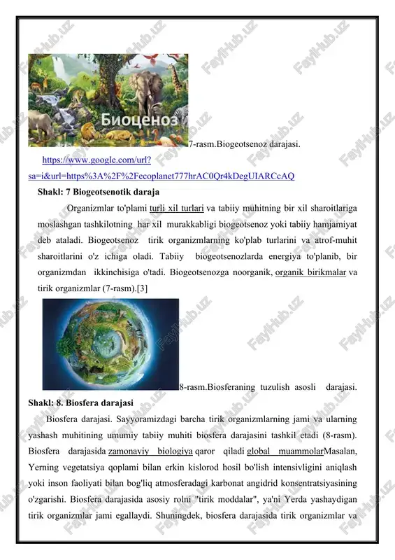 'lumotni etkazish mexanizmlarini o'rganish, irsiyat va o'zgaruvchanlik, evolyutsion jarayonlarni o'rganish, hayotning kelib chiqishi va mohiyatini o'rganishdir.[4] barcha tirik organizmlar oddiy noorganik molekulalardan iborat: azot, suv, karbonat angidrid. ulardan kimyoviy evolyutsiya jarayonida oddiy organik birikmalar paydo bo'ldi, bu esa o'z navbatida yirik molekulalar uchun qurilish materialiga aylandi. makromolekulalar shunday paydo bo'ldi. ulkan molekulalar ko'plab monomerlardan qurilgan polimerlardir. polimerlarning uch turi mavjud: polisakkaridlar, oqsillar va nuklein kislotalar. ular uchun monomerlar navbati bilan monosaxaridlar, aminokislotalar va nukleotidlardir. oqsil va nuklein kislotalar "ma'lumotli" molekulalardir, chunki ularning tuzilishida juda xilma-xil bo'lishi mumkin bo'lgan monomerlarning ketma-ketligi muhim rol o'ynaydi. polisaxaridlar (kraxmal, glikogen, sellyuloza) yirikroq molekulalarning sintezi uchun energiya manbai va qurilish materiali rolini o'ynaydi.proteinlar makromolekulalar bo'lib, ular aminokislotalarning juda uzun zanjirlari - organik (karboksiklik) kislotalar bo'lib, odatda bir yoki ikkita aminoguruhni o'z ichiga oladi.[3] eritmalarda aminokislotalar ham kislotalar, ham asoslarning xususiyatlarini namoyish etishga qodir. bu ularni xavfli fizikaviy va kimyoviy o'zgarishlarga qarshi buferga aylantiradi. tirik hujayralar …