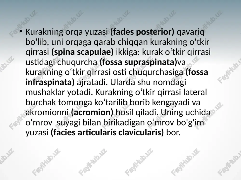 phalangis distalisni hosil qiladi. e`tiboringiz uchun raxmat image15.jpg image9.png image30.gif image2.jpg image6.jpg image7.jpg image45.gif image14.png image11.jpg image1.jpg image4.jpg image5.jpg image13.png image10.png image3.png image20.jpg image28.jpg image16.jpg image17.jpg image24.jpg image21.jpg image18.jpg image23.jpg image25.jpg image29.jpg image34.jpg image19.jpg image22.jpg image44.jpg image27.jpg image33.jpg image32.jpg image26.jpg image36.jpg image31.jpg image42.jpg image37.jpg image39.jpg image43.jpg image38.jpg image40.jpg image41.jpg