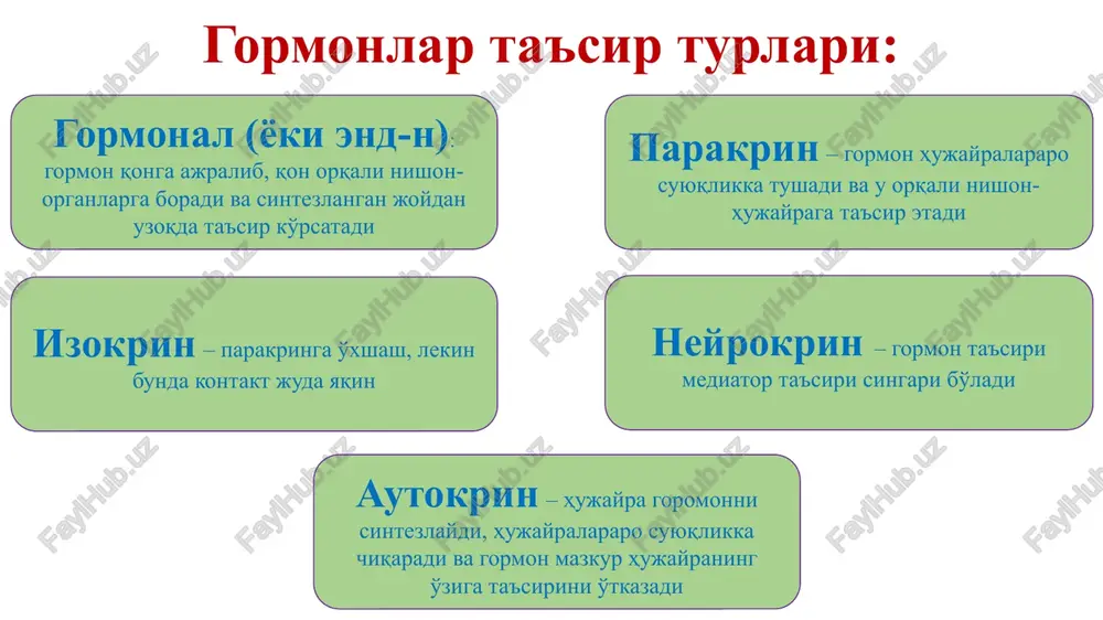 i (steroid gormon/, peptid gormonlar va katexolaminlar); 4) gormon/ning buyrak tomonidan siydik tarkibi-da ekskretsiyasi (peptid gormon/ va katexolamin/). gormonlarning ta'sir mexanizmi gormon/ ta'sirining 1-bosqichi – bu ularning nishon-hujayra maxsus retseptori b-n o'zaro ta'sirlashuvidir. retseptor/dan ayrilgan hujayra/ javob berishga qodir bo'lmaydi. ayrim gormon/ uchun retsep-tor/ hujayra membranasi (tashqi yoki ichki yuzasi)da, boshqa gormon/ uchun esa tsitoplazmada va yadroda joylashgan bo'ladi. gormonlarning retseptorlar b-n o'zaro ta'sirlashuvi fermenta-tiv reaktsiyalar oqimini boshlanishiga sabab bo'ladi. reaktsiya/ning har bir stadiyasi bir-biridan tobaro kuchayib boradi, shu sababli gormon-ning juda kichik kontsentratsiyasi ham sezilarli effektni bera oladi. gormon/= retseptor/i yirik oqsil/ hisoblanadi. har bir nishon-hujayrada 2000 dan 100 000 gacha shunday retseptor bo'lishi mumkin. retseptor/ aniq bir gormonga yuqori ixtisoslashgan bo'ladi, shu sababli gormon maxsus retseptor/i bo'lgan to'qima/gagina ta'sirini ko'rsatadi. gormonlarni sezadigan retseptorlar soni va sezgirligining boshqarilishi faol retseptorlar sonining kamayib ketishini gormon kontsentratsiyasining ortib ketishi va ularning retseptorlar b-n bog'lanishi provokatsiya (keltirib chiqarishi) qilishi mumkin. faol retseptorlar …