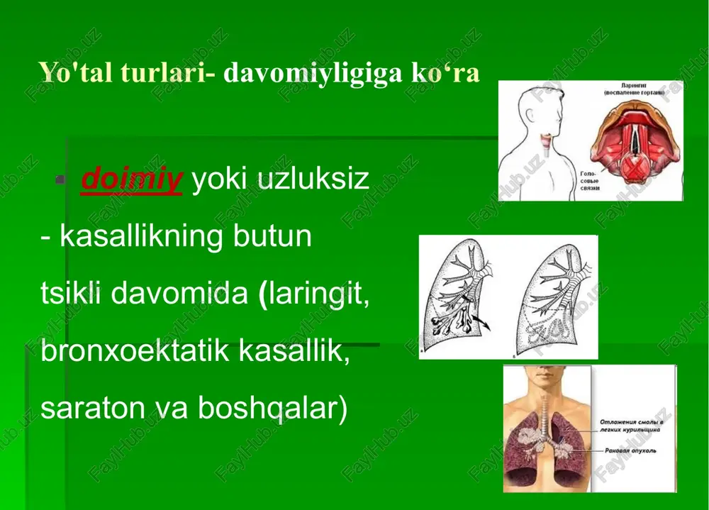 g'ini suyuqlik bilan to'ldirganda ham kuzatiladi. bunday hollarda, ko'krak siqilganda, ham anteroposterior, ham og'riq yo'nalishda, qarshilikning kuchayishi seziladi. ovoz dirillashi ovoz dirillashi o‘pka tuqimasining zichligiga bogliq bo‘ladi. qanchalik o‘pka tuqimasi zichroq bo‘lsa, shunchalik ovoz dirillashi oshadi.palpatsiya ovoz tebranishlarini ko'krak qafasi devoriga uzatish natijasida ovoz titroqning kuchini aniqlash uchun ishlatiladi. ushbu tebranishlarning tarqatuvchisi nafas olish yo'llari va alveolalar havosi, shuningdek to'qima. ovoz tebranish kuchiga qo'shimcha ravishda 3 ta shartga bog'liq: 1) traxeya va bronxlarning otkazuvchanligi, 2) o'pkaning ko'kragiga to'g'ri kelishi, 3) o'pka to'qimalarining egiluvchanligi ovoz dirillashi ovoz dirillashini aniqlash uchun vrach qullari ko‘krak qafasning simmetrik sohalariga quiladi va bemorga «r» harfli so‘zlarni aytish buyuriladi. ovoz dirillashini kuchiga qo'shimcha ravishda 3 ta shartga bog'liq: 1) traxeya va bronxlarning otkazuvchanligi, 2) o'pkaning ko'kragiga to'g'ri kelishi, 3) o'pka to'qimalarining elastikligi ovoz dirillashining kuchayishi ovoz dirillashining fiziologik kuchayishi ingichka ko‘krak qafasda (asteniklarda, yosh odamlarda) ovoz dirillashining patologik kuchayishii (tovushlarning baland talaffuzi) pnevmoniya, o'pka infarkti, o'pka …