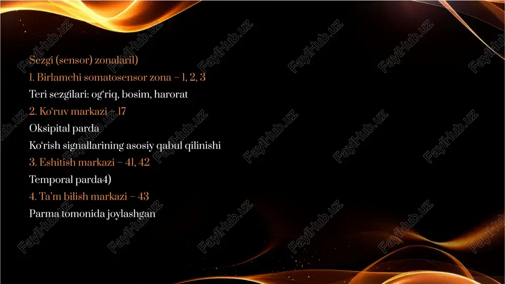 bosh miya yarim sharlar po'stlog'ining fiziologiyasi. bazal yadrolar - Page 5