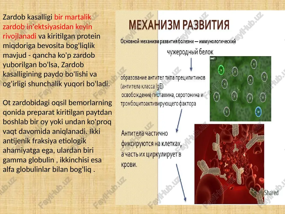 o'zaro ta'sir qiluvchi o'ziga xos igg . bunday hollarda zardob qonda qolsa, kasallik bir necha hafta davom etishi mumkin. diagnostika avvalo, zk tashxisi kasallik tarixiga asoslanadi . s tizimli kasalliklardan - revmatizmdan, tizimli qizil yugurukdan, periarterit nodosadan farqlanishi kerak. alomatlar rivojlanishi davrida aylanma immun komplekslari soni ortadi, gipergammaglobulinemiya va komplement titrining pasayishi aniqlanadi. qonda kasallikning balandligida mo''tadil leykotsitoz mavjud, ko'pincha eozinofiliya , plazma hujayralari mumkin, esr o'rtacha darajada oshadi. siydikda ba'zida engil yoki o'rtacha proteinuriya va gematuriya kuzatiladi , og'irroq hollarda gialin to'qimalari aniqlanadi. terining ta'sirlangan hududlarini biopsiya qilishda neytrofillar, limfotsitlar, eozinofillar va immun komplekslarining konlari infiltratsiyasi bilan davolash engil zk uchun antigistaminlar va klinikaga qarab simptomatik dori-darmonlarni buyuring. o'rtacha og'ir holatlarda antigistaminlar in'ektsiyalari va kortikosteroidlar kursi, shuningdek simptomatik terapiya buyuriladi. og'ir holatlarda kortikosteroidlar bilan ko'proq mazkiv va uzoq muddatli terapiya talab qilinadi, klinik ko'rinishlarga qarab turli xil simptomatik terapiya, shuningdek gemosorbsiya . oldini olish zk ni keltirib chiqarmaydigan optimal …