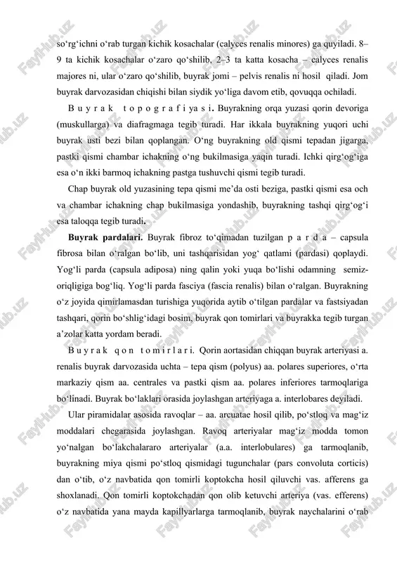yiladi. ular piramidalar asosida ravoqlar – aa. arcuatae hosil qilib, po‘stloq va mag‘iz moddalari chegarasida joylashgan. ravoq arteriyalar mag‘iz modda tomon yo‘nalgan bo‘lakchalararo arteriyalar (a.a. interlobulares) ga tarmoqlanib, buyrakning miya qismi po‘stloq qismidagi tugunchalar (pars convoluta corticis) dan o‘tib, o‘z navbatida qon tomirli koptokcha hosil qiluvchi vas. afferens ga shoxlanadi. qon tomirli koptokchadan qon olib ketuvchi arteriya (vas. efferens) o‘z navbatida yana mayda kapillyarlarga tarmoqlanib, buyrak naychalarini o‘rab turadi. bu kanalchalardan vena qon tomirlari boshlanadi, ular nomlari bir xil bo‘lgan arteriyalar bilan birgalikda joylashgan. vena qoni buyrakning po‘stloq qismidan yulduzsimon venalar (venulae stellatae) orqali vv. interlobulares ga, so‘ngra po‘stloq va miya qismlari oralig‘ida joylashgan vv. arcuatae orqali venulae rectae ga quyiladi. bu venalar o‘zaro qo‘shilib, v. renalis ni hosil qiladi. buyrak venasi – v. renalis yakka o‘zak sifatida buyrak darvozasidan chiqib, pastki kovak venaga quyiladi. qon tomirli koptokchaga kiruvchi arteriya devorida muskul qavati borligi tufayli qalin va baquvvatroq bo‘ladi. undagi …